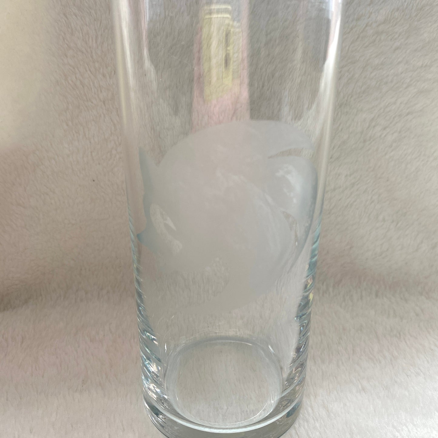 Sonic the Hedgehog Etched Drinking Glass